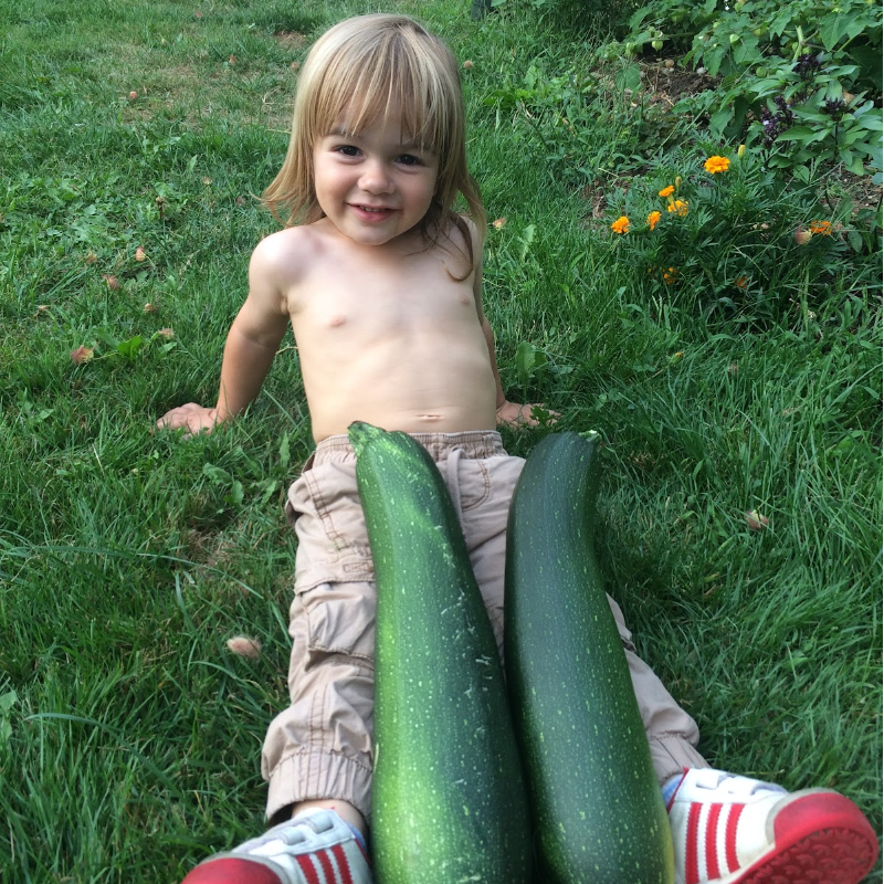 Zucchini, Mutabile Main Image